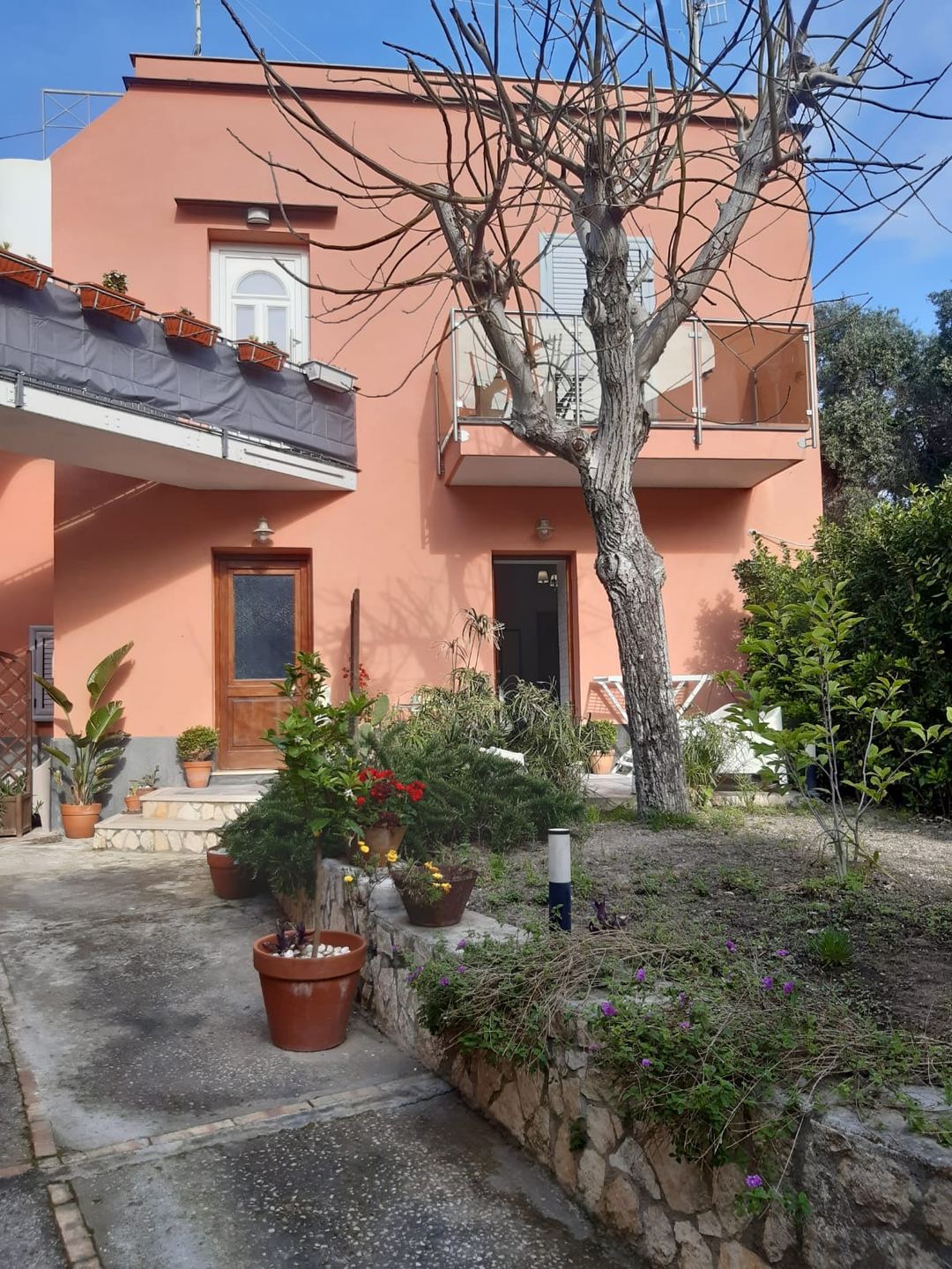 The charming coral-pink facade of Sonnino B&B with a Mediterranean courtyard garden featuring potted plants and a bare tree.